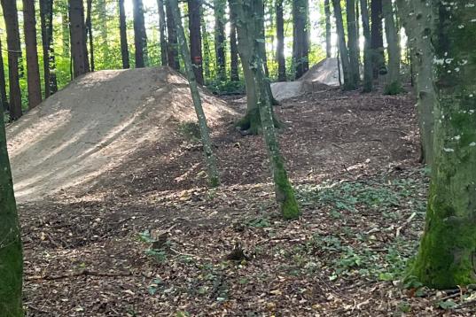 Sprünge beim Bärenried Trail von trailnet.ch