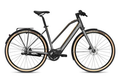 Flyer Urban SL Citybike