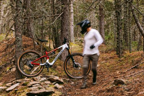 megamo Reason bei ProBike Lyss