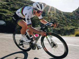 Specialized Rennvelos bei ProBike Lyss