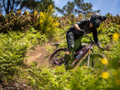 Dein Specialized Traum Gravity Bike von ProBike Lyss 